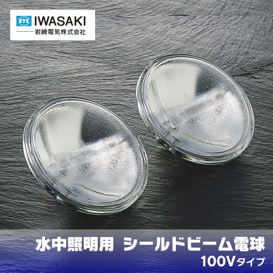 岩崎(IWASAKI)　シールドビーム電球（水中照明用・PAR形）　500ｗ形