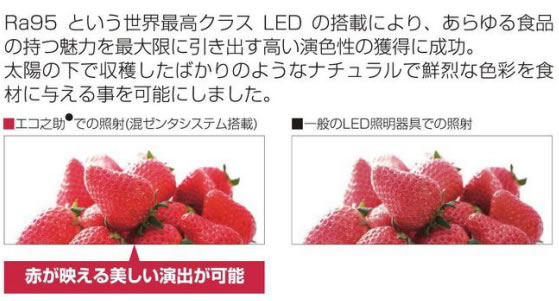 岡村電産（OKAMURA）☆エコ之助 BIG 食品専用LED☆LDR-21W/LM E26 精肉・鮮魚用は自然光