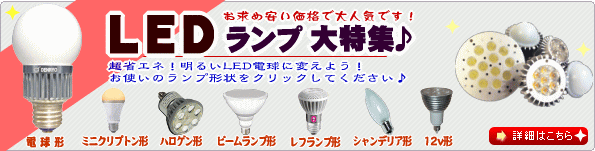 LED電球・LEDランプ大特集