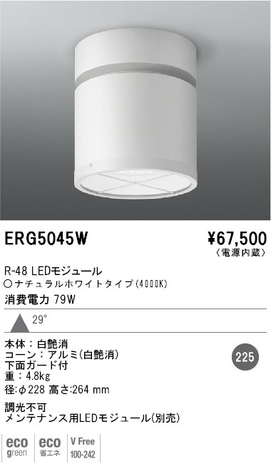 遠藤照明 ERG5045W シーリングダウン